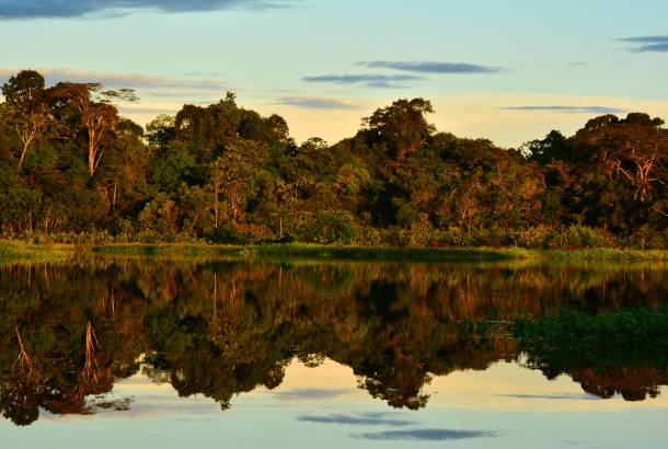 A Guide To Visiting The Amazon Rainforest 