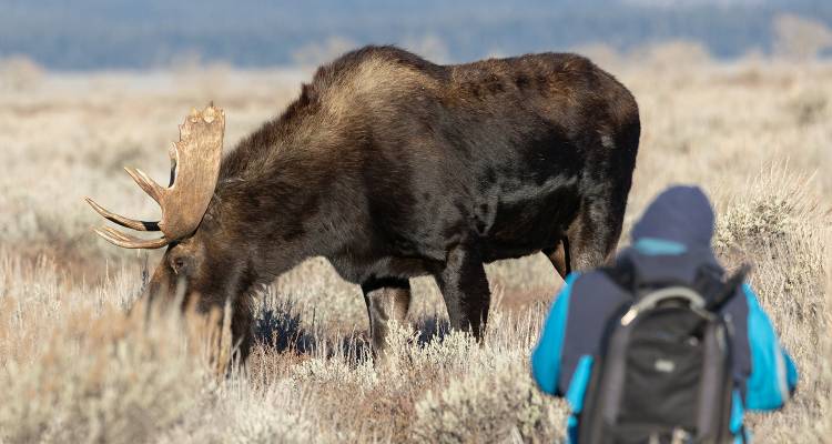 tourhub | On The Go Tours | Yellowstone & Yosemite (Camping) - 11 days 