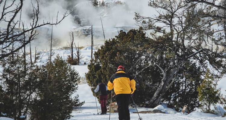 tourhub | On The Go Tours | Yellowstone in Winter - 6 days  