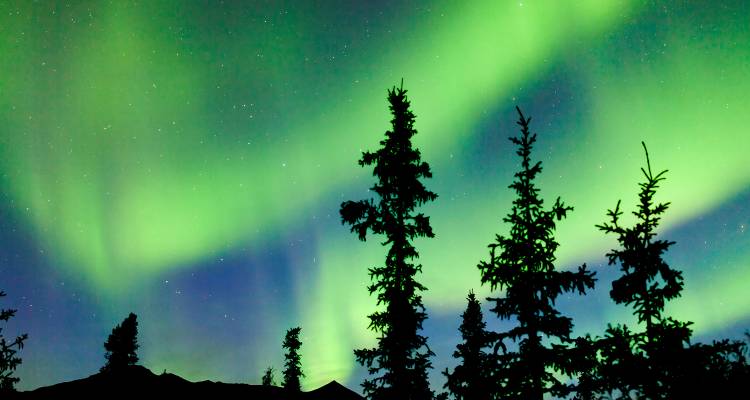 tourhub | On The Go Tours | Yukon & Northern Lights - 4 days 