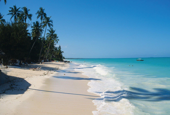 The beach at Zanzibar