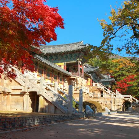 itinerary-main-Korea-6-day