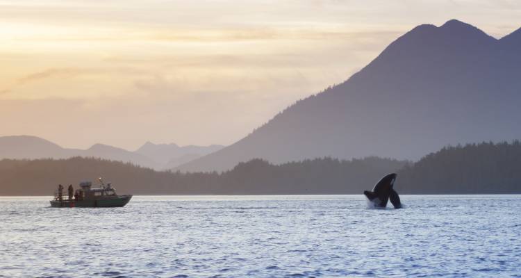 tourhub | On The Go Tours | Vancouver Island Discovery - 8 days 