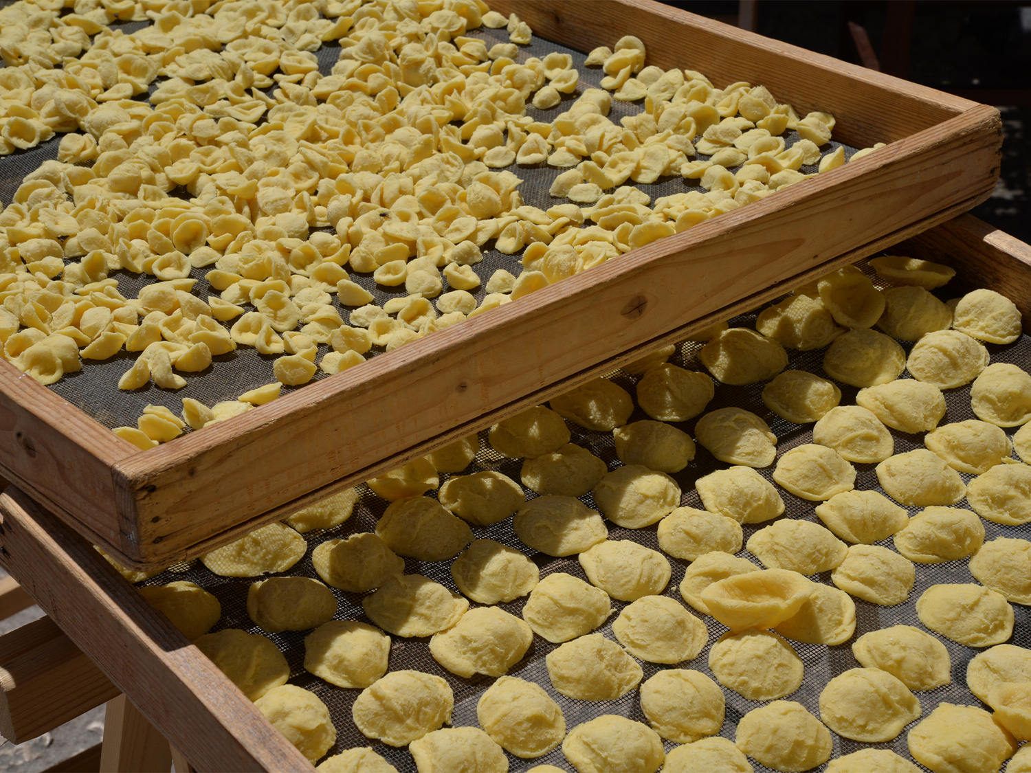 orecchiette pasta on the streets of Bari