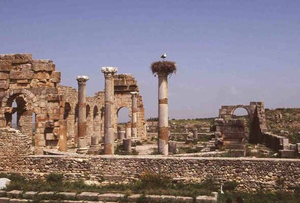 the ruins at Volubilis