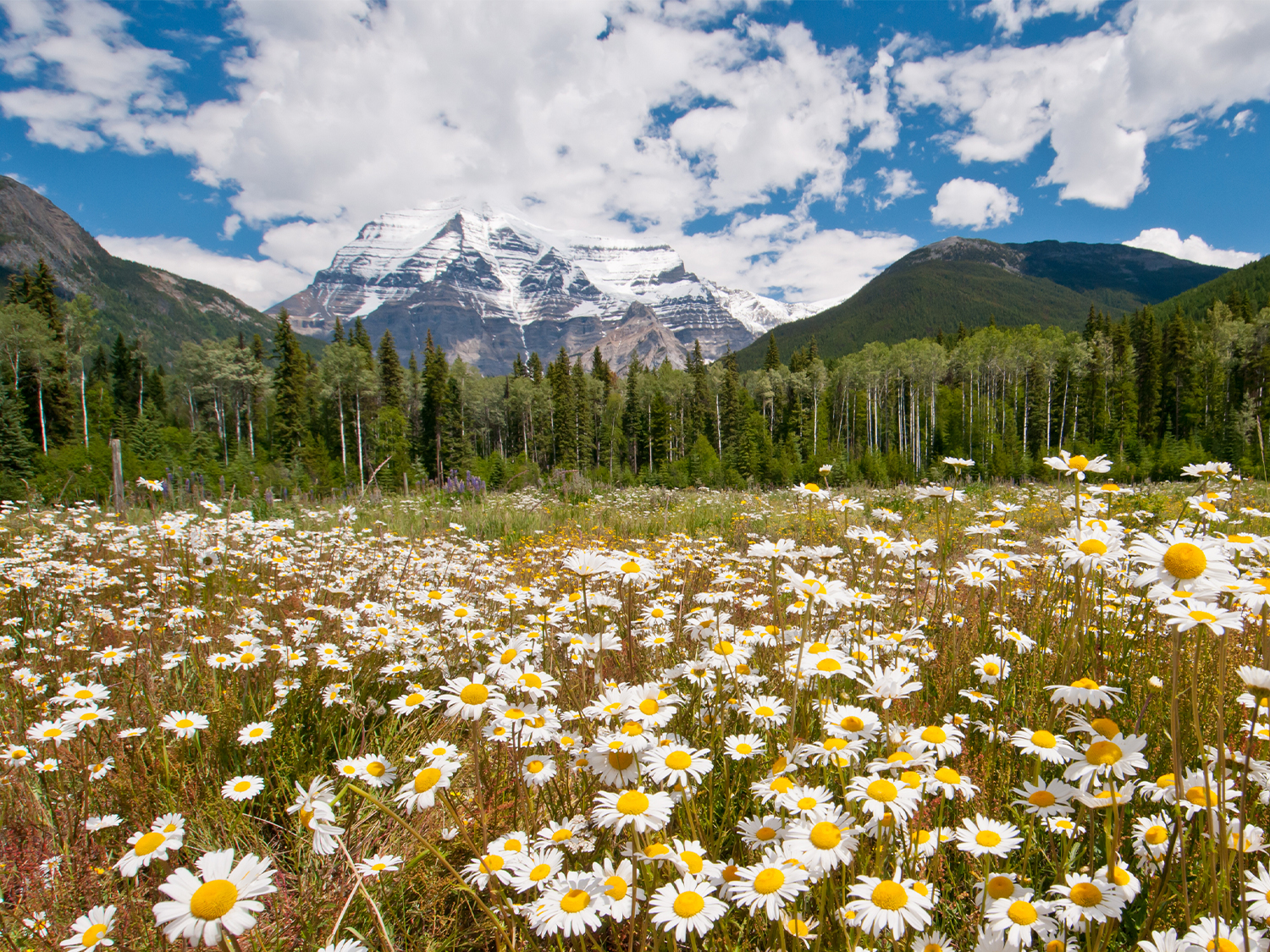 Western Canada Encompassed - 16 days