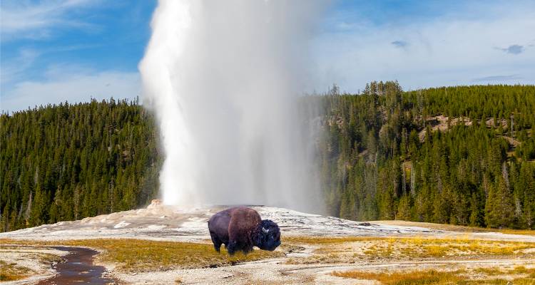 tourhub | On The Go Tours | Yellowstone Camping Adventure - 7 days 